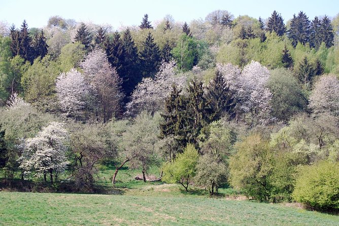 Viel gibt es zu entdecken (Foto: privat)