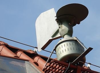 Pollenfalle (Foto: privat) Pollenfalle (Foto: privat)