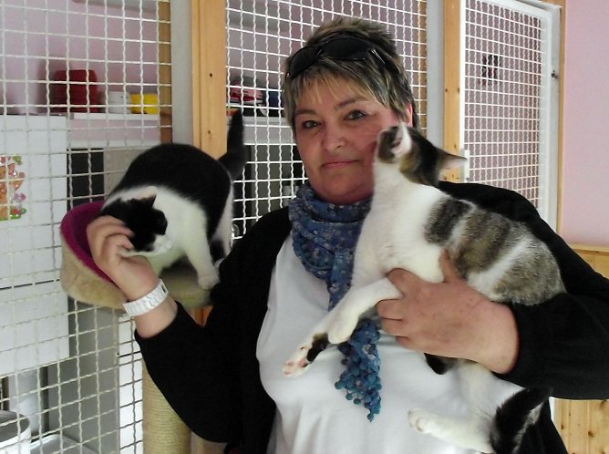 Ist f&uuml;r die Stubentiger da (Foto: K. Frank)