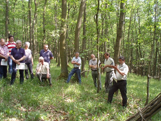 Exkursion (Foto: Forstamt)