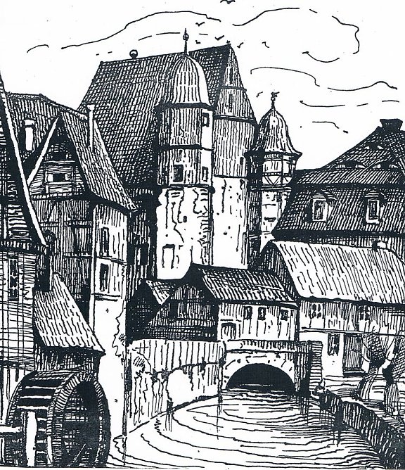 heringen (Foto: heringen)