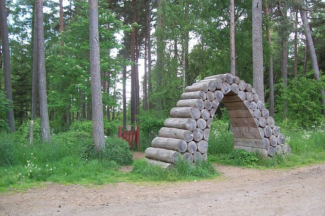 Hundeplatz (Foto: privat)