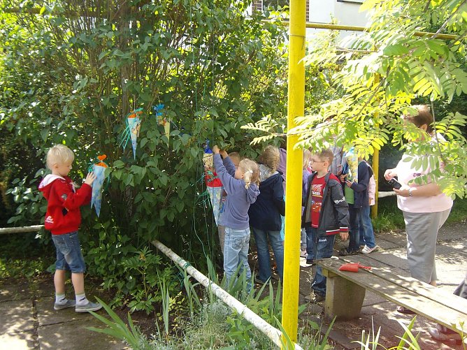 Zuckert&uuml;tenbaum (Foto: S. Iffland)