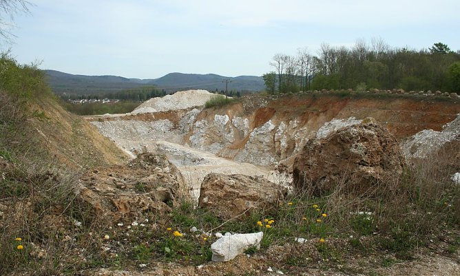 Protest gegen Gipsabbau (Foto: privat)