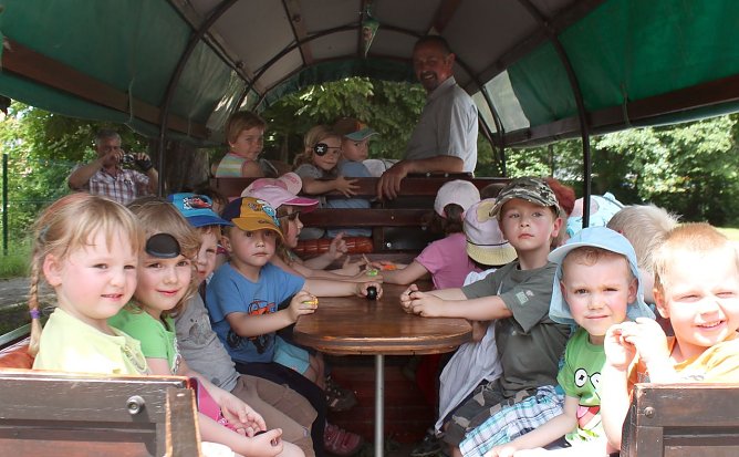 "Igel" in Neustadt (Foto: privat)