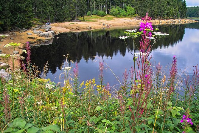 Odertecih (Foto: Ch. Wiesel)