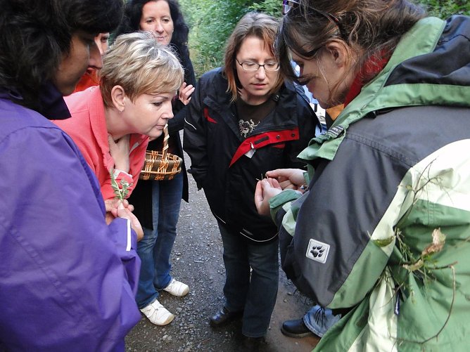 Kr&auml;uterwanderung (Foto: privat)