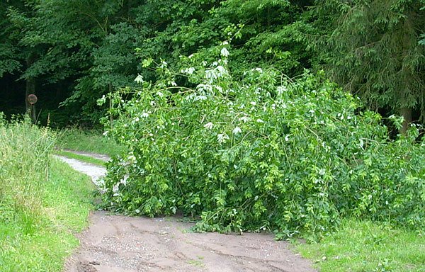 Sperre am Heringer Weg (Foto: Karl-Heinz Herrmann) Sperre am Heringer Weg (Foto: Karl-Heinz Herrmann)