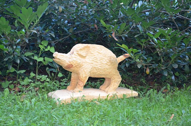 Wird versteigert (Foto: H. Michel) Wird versteigert (Foto: H. Michel)