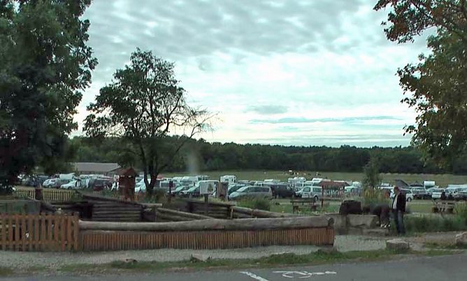 Doggen &uuml;berall (Foto: Karl-Heinz Herrmann)