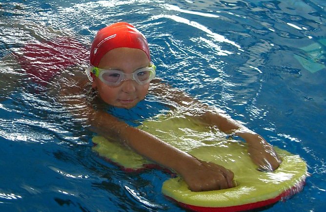 Seepferdchen (Foto: Badehaus)