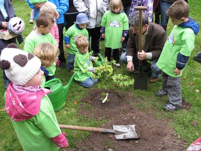 neustadt (Foto: neustadt) neustadt (Foto: neustadt)