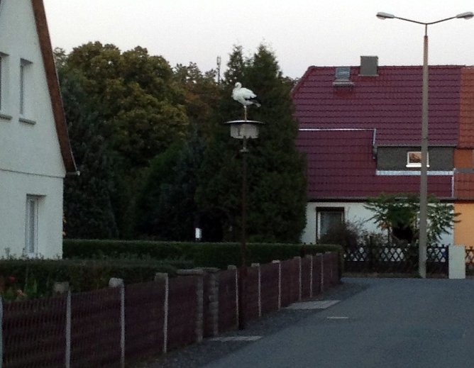 Zu Gast in der Siedlung (Foto: Benjamin Kühnemund) Zu Gast in der Siedlung (Foto: Benjamin Kühnemund)