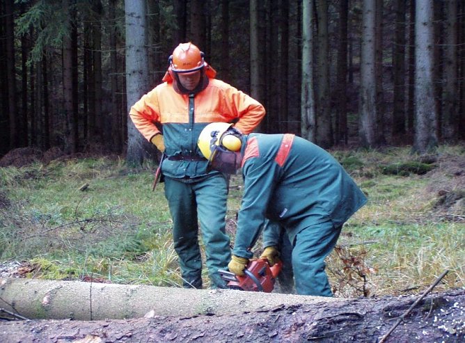 Lehrgang ist notwendig (Foto: Forstamt Bleicherode) Lehrgang ist notwendig (Foto: Forstamt Bleicherode)