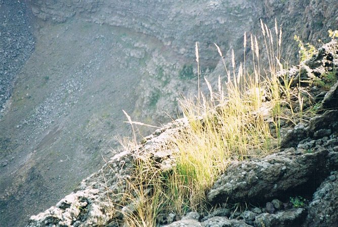 Auf dem Vesuv (Foto: privat) Auf dem Vesuv (Foto: privat)