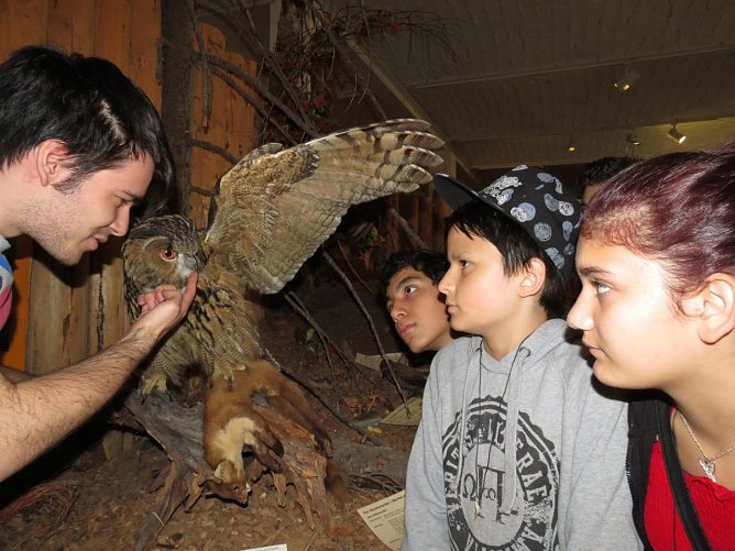 Praktikum im Nationalpark Harz (Foto: Walter Wimmer)