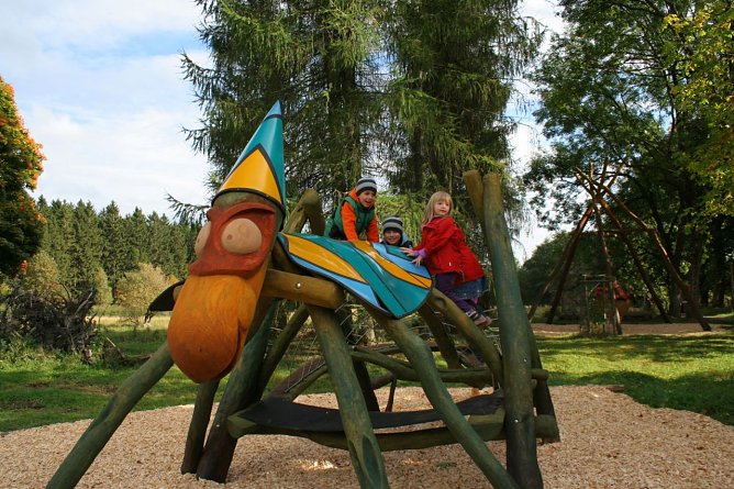 Heupferd (Foto: Ingrid N&ouml;renberg)