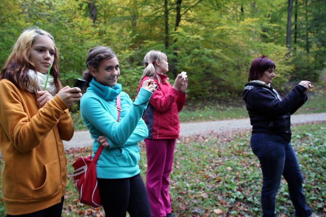 Bl&auml;tter im Mittelpunkt (Foto: Bl&auml;tterWERKer Nils und Joyce; Spehr)