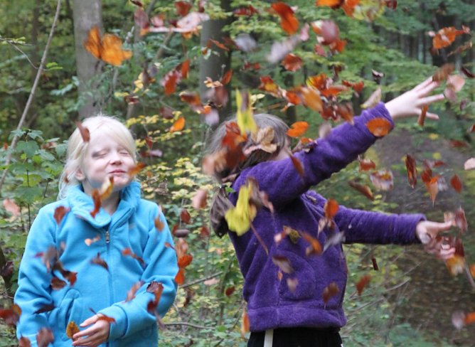 Bl&auml;tter im Mittelpunkt (Foto: Bl&auml;tterWERKer Nils und Joyce; Spehr)