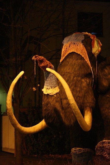 Bestrickt (Foto: R. Neitzke)