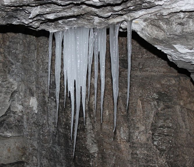 Ausgefallene Motive gefragt (Foto: J. Piper)