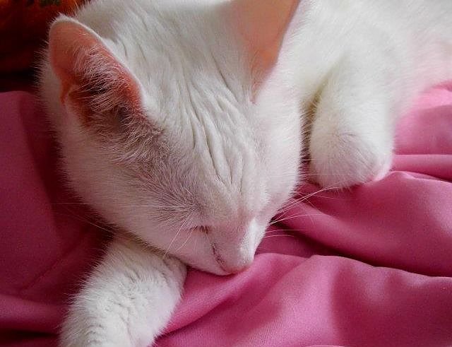 Produkttester (Foto: FHN) Produkttester (Foto: FHN)