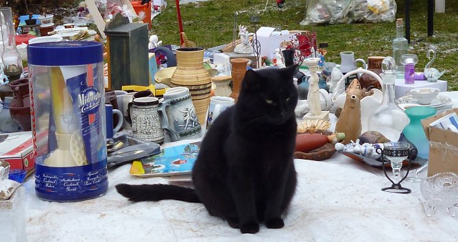 Toller Markt im Tierheim (Foto: C. Knust)