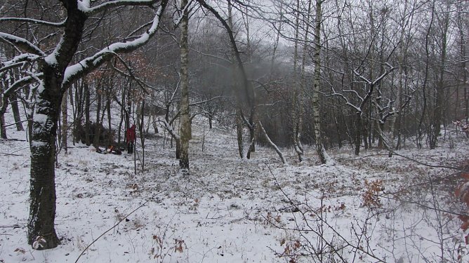 Pflegeeinsatz (Foto: privat) Pflegeeinsatz (Foto: privat)