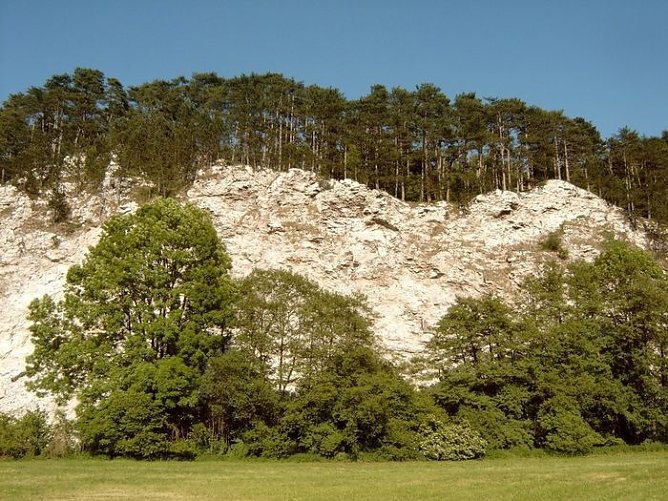 Sachsensteinwand (Foto: Autoren)