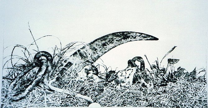 Großes Rasenstück (Foto: Archiv Kneffel) Großes Rasenstück (Foto: Archiv Kneffel)