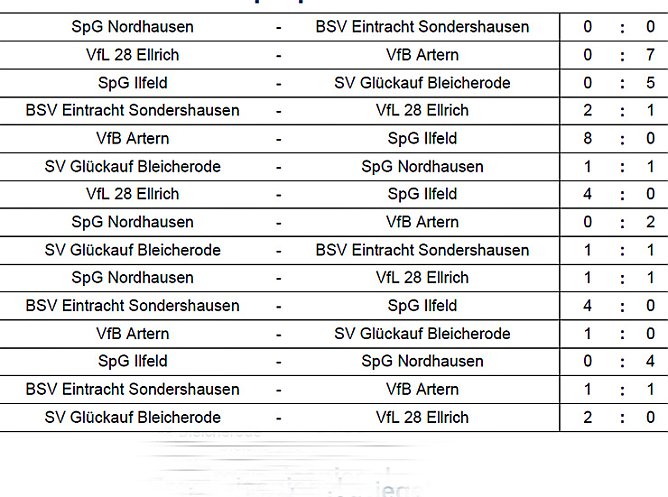 Halllenkreismeister G- Junioren (Foto: Kreisfußballausschuss Nordthüringen) Halllenkreismeister G- Junioren (Foto: Kreisfußballausschuss Nordthüringen)