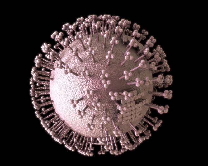 Influenza-Virus (Foto: Advamed/Klosterfau)