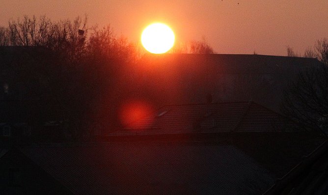 Aufgegangen (Foto: privat) Aufgegangen (Foto: privat)