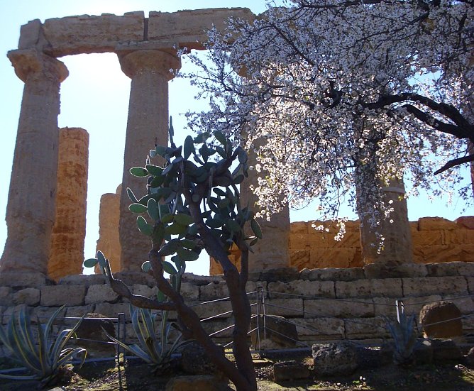 Sizilianisches Tagebuch (Foto: K. Greiner)