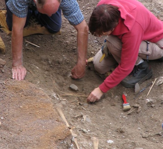 Knochenfunde (Foto: I. Bergmann)