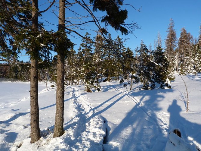 Illegale Spur (Foto: Anja Einhorn) Illegale Spur (Foto: Anja Einhorn)