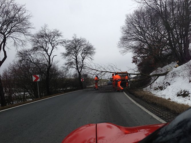 Gefährlicher Schnitt (Foto: M. Hardrath) Gefährlicher Schnitt (Foto: M. Hardrath)