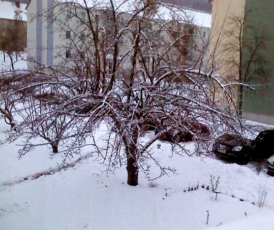 Wo bleibt der Fr&uuml;hling? (Foto: S. Kaufhold)
