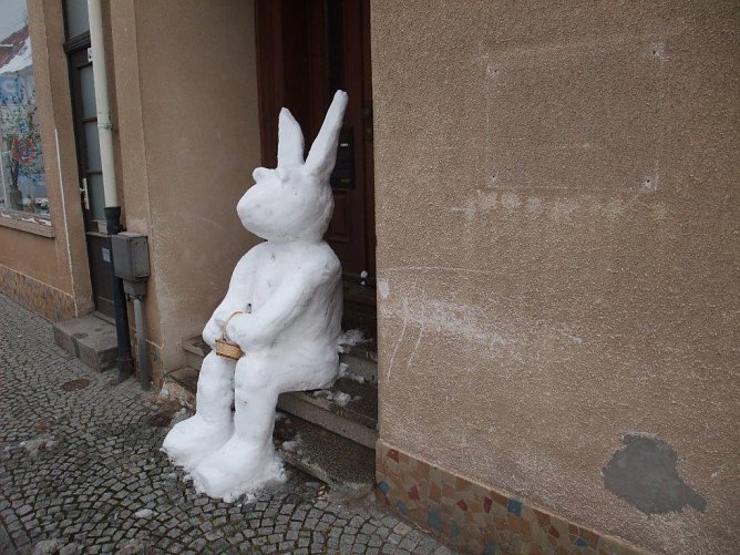 Schneehase oder Osterhase (Foto: C. Grube)