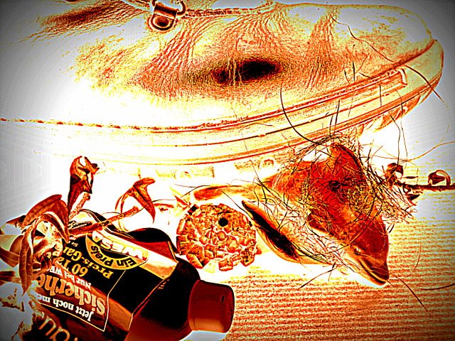 footprint (Foto: footprint) footprint (Foto: footprint)