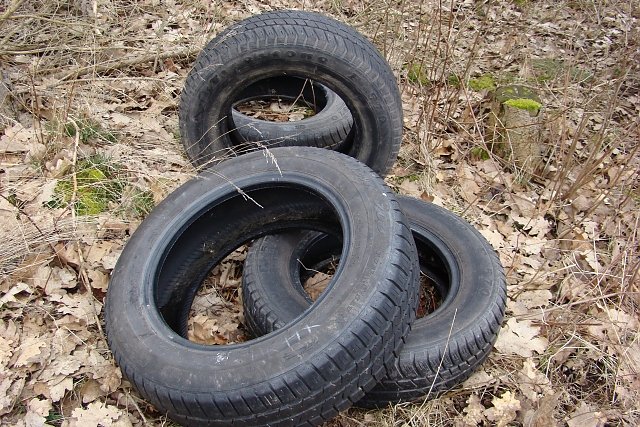 Abgelagert (Foto: S. Witzel)