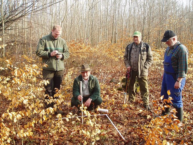 Verbissaufnahme (Foto: Forstamt Bleicherode-S&uuml;dharz)