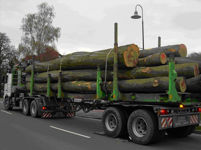 &Uuml;berladen (Foto: API)