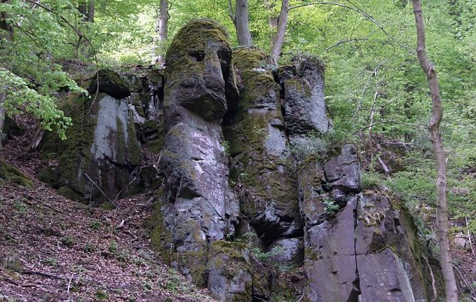 Das Steinm&uuml;hlental (Foto: privat)
