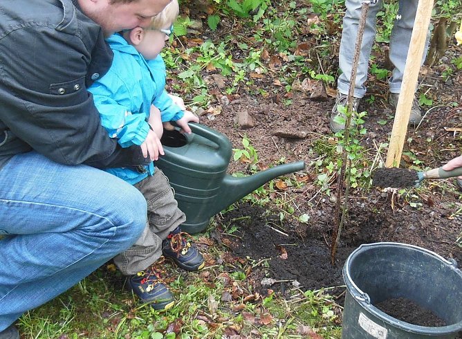 Wildapfel gepflanzt (Foto: L. Schubert)