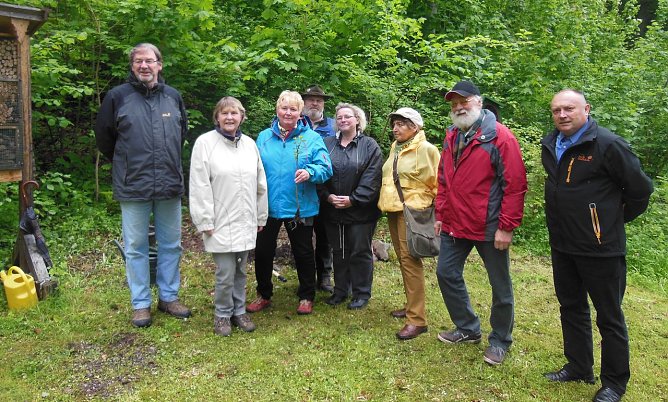Wildapfel gepflanzt (Foto: L. Schubert)