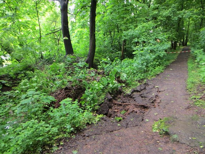 Umgest&uuml;rzter Baum (Foto: Stadtverwaltung Nordhausen)