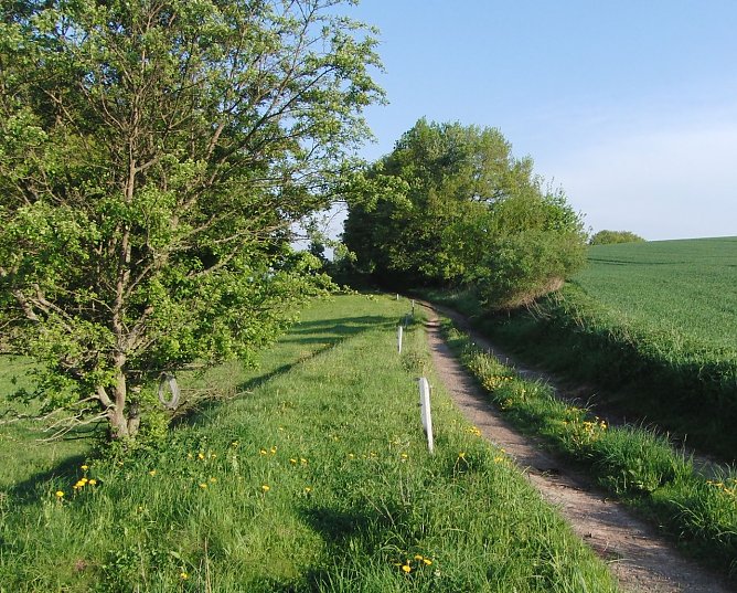 Kurz hinter Appenrode (Foto: B. Schwarzberg)