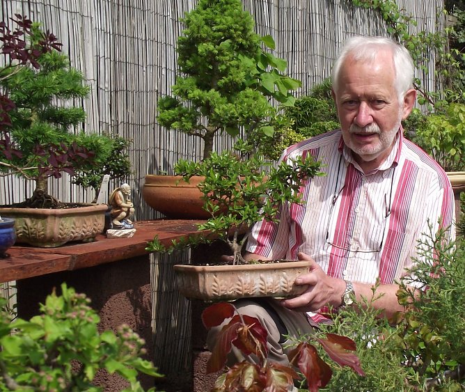 Im Wald exotischer Kostbarkeiten (Foto: K. Frank) Im Wald exotischer Kostbarkeiten (Foto: K. Frank)