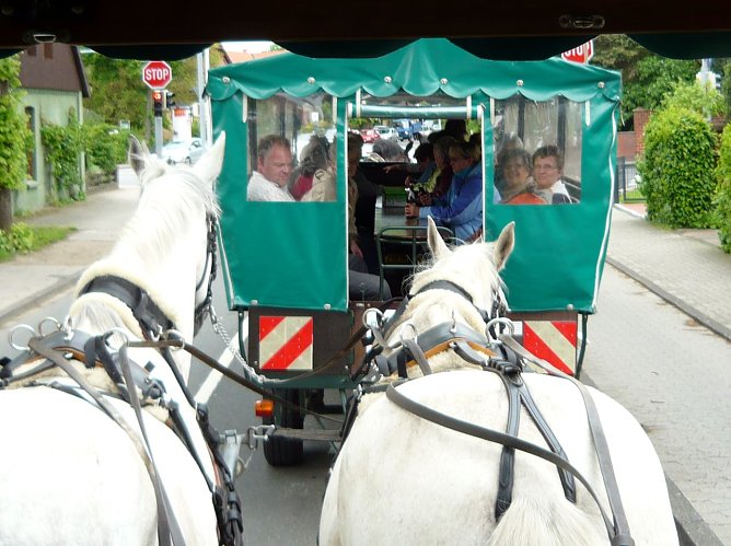 Unterwegs in Hannover (Foto: D. Buchardt)
